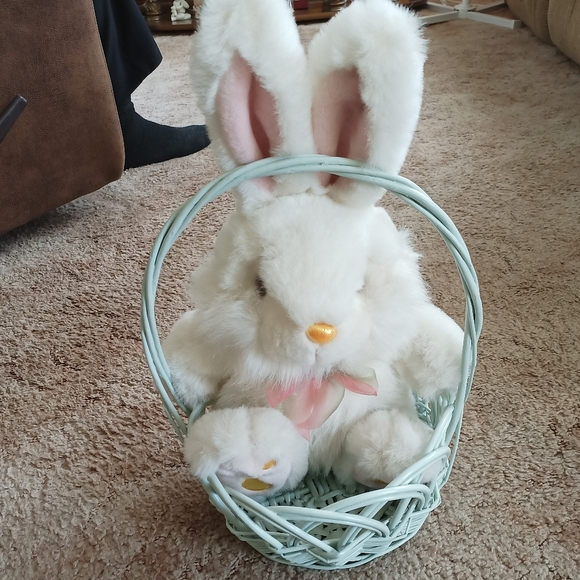 easter Other - LG Easter Basket & Bunny !!
